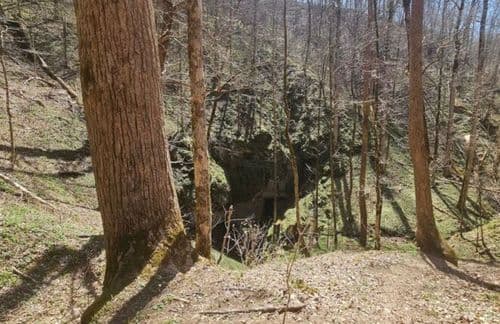 Beard Cane Trail