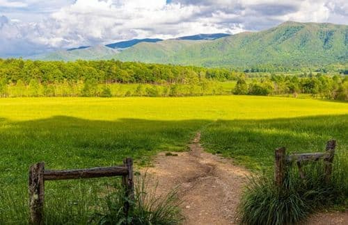 Cades Cove Nature Trail