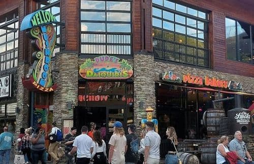 Mellow Mushroom