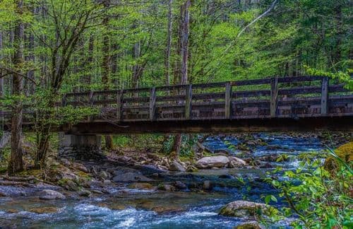 Porters Creek Trail