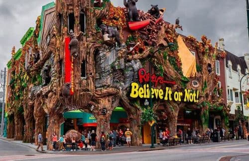 Ripley's Believe It or Not!