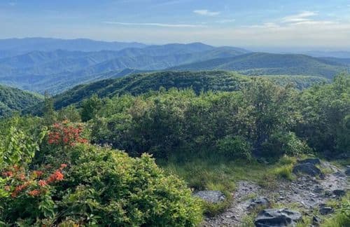 Rocky Top Trail
