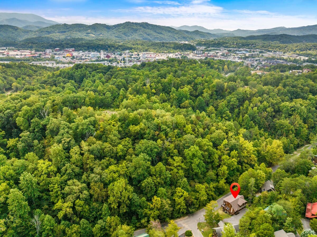 Enjoy the perfect blend of seclusion and convenience! This cozy cabin is nestled among the trees yet just minutes from downtown Pigeon Forge. Experience the best of nature while being close to top attractions, dining, and entertainment.